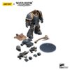 Space Wolves Grey Slayer Pack Grey Slayer with Legion Vexilla 4 - JoyToy Germany
